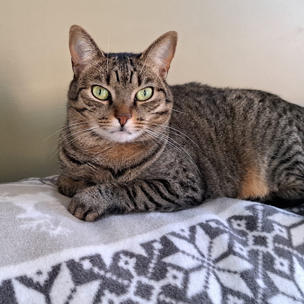 Meet your Posher, Kelley